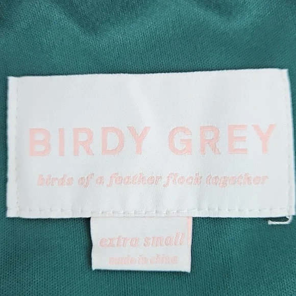 Birdy Grey Devin Chiffon Bridesmaid Gown Floor Length In Emerald NWT XS - Picture 6 of 12